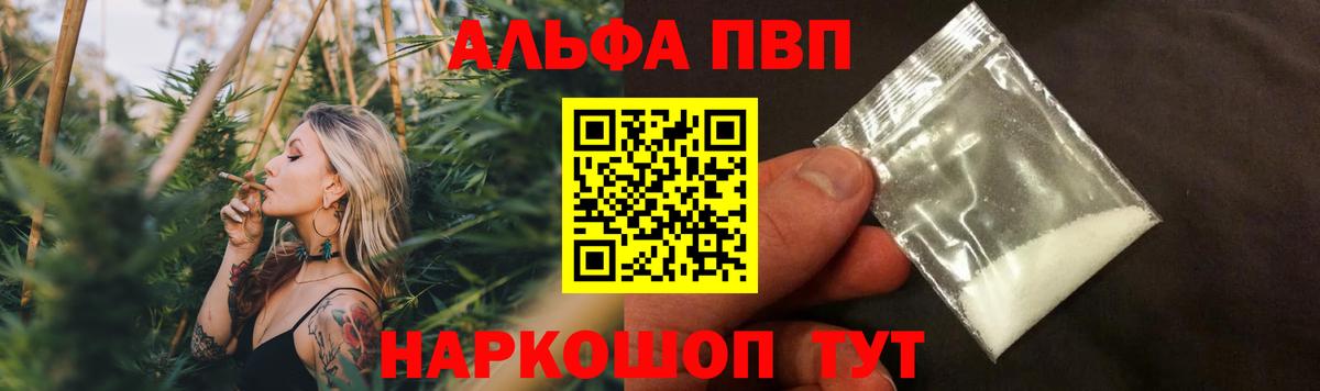 A PVP СК КРИС Михайловск